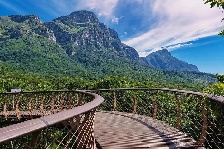 Exploring Kirstenbosch: A Practical Guide to Cape Town’s Botanical Garden photo 4