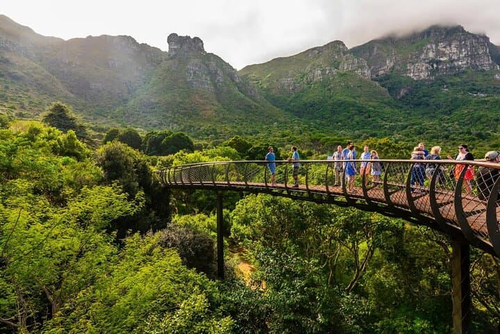 Exploring Kirstenbosch: A Practical Guide to Cape Town’s Botanical Garden