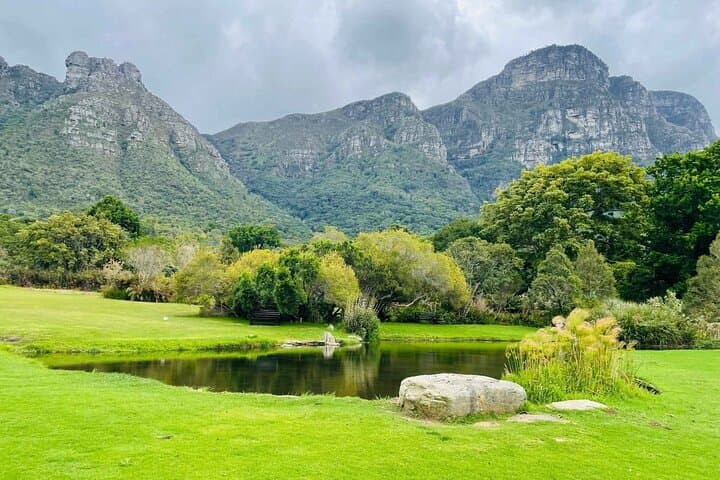 Exploring Kirstenbosch: A Practical Guide to Cape Town’s Botanical Garden photo 3