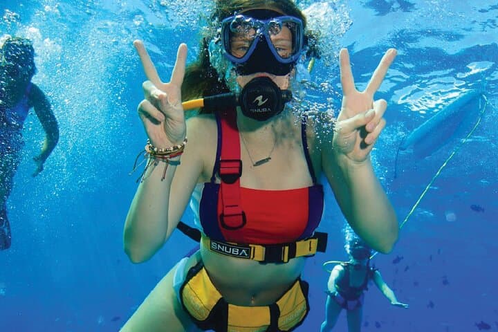 Snuba Cabo San Lucas: Dive Without a Tank Near El Arco photo 6