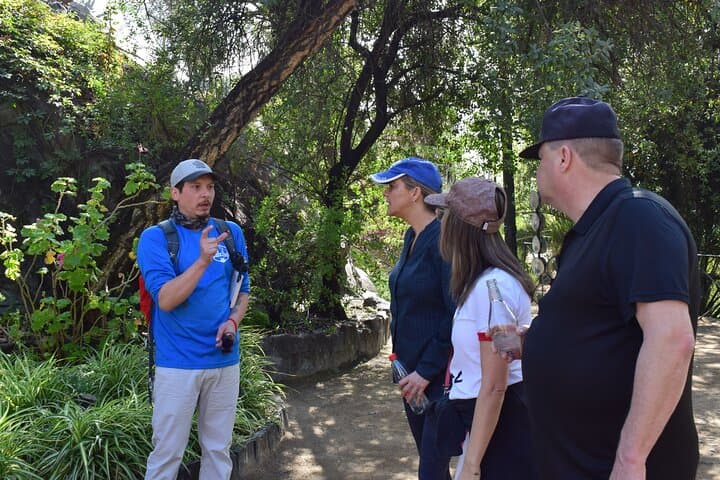 Santiago Urban Walk: Cerro Santa Lucia to Plaza de Armas Guided Walking Tour photo 4