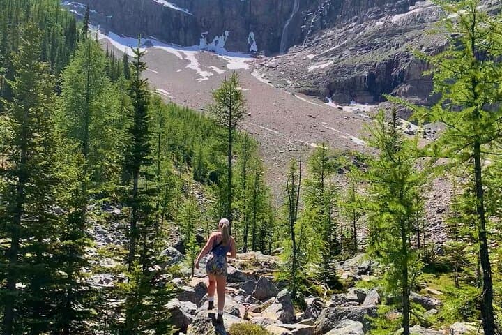 Guided Hikes in the Canadian Rockies: Bow Glacier Falls, Emerald Basin & Stanley Glacier photo 3