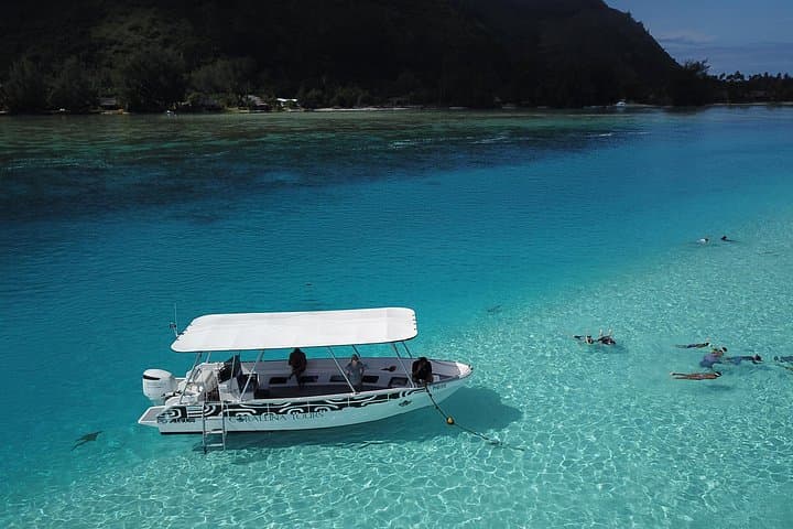Moorea Snorkeling and Ocean Safari: Coral Gardens, Rays and Whale Watching photo 1