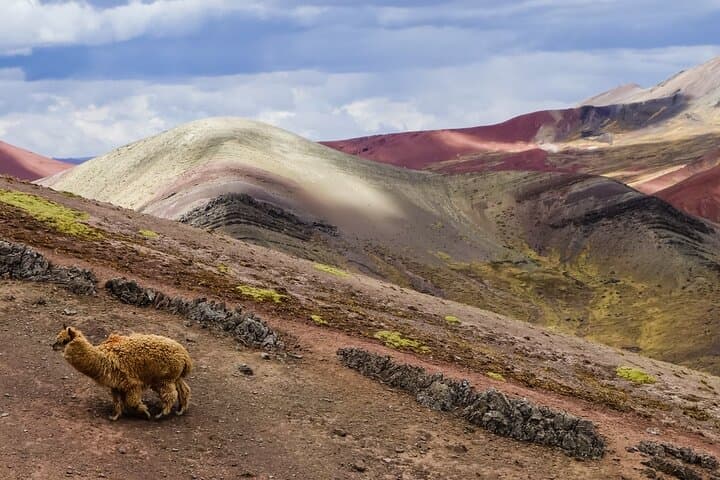Palcoyo Rainbow Mountain Day Tour from Cusco — Palcoyo Rainbow Mountain & Stone Forest photo 4
