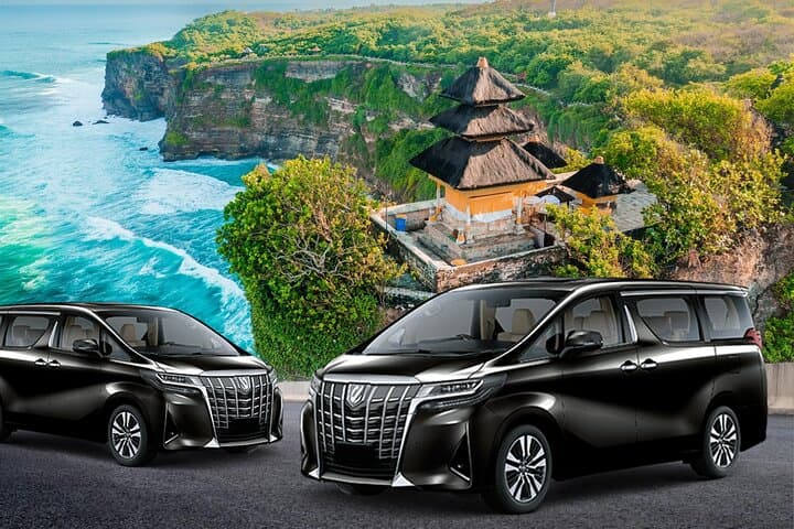 Private Bali Shore Excursion: Custom 6–10 Hour Car Tour from Port