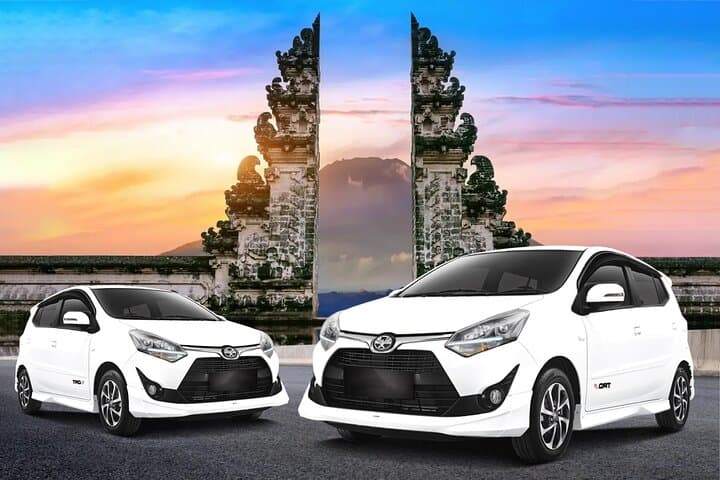 Private Bali Shore Excursion: Custom 6–10 Hour Car Tour from Port photo 3