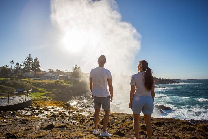 Kiama and Kangaroos: South Coast Day Trip from Sydney via Sea Cliff Bridge