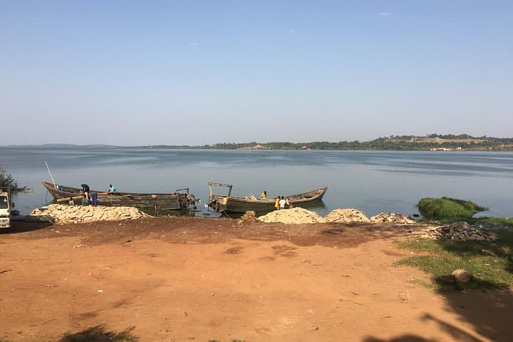 Equator Island Tour: Entebbe Lake Victoria Boat Cruise & Birdwatching photo 3