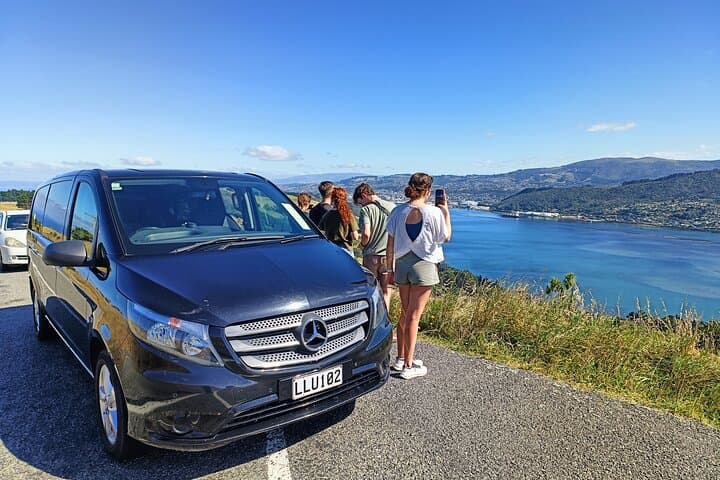 Dunedin City & Otago Peninsula Wildlife Day Tour — Larnach Castle, Sandfly Bay & Allans Beach photo 5