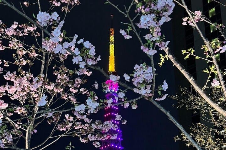 Tokyo After Dark: Private Night Tour of Rainbow Bridge, Ginza & Tokyo Tower photo 1