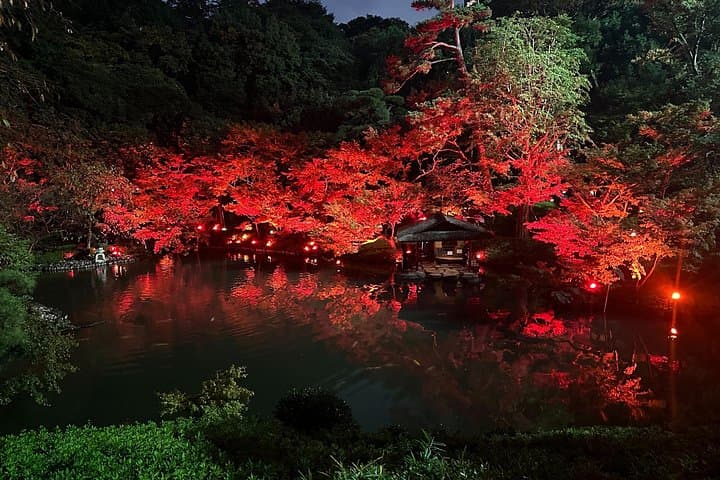 Tokyo After Dark: Private Night Tour of Rainbow Bridge, Ginza & Tokyo Tower photo 2