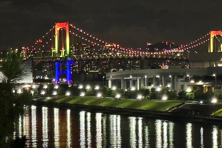 Tokyo After Dark: Private Night Tour of Rainbow Bridge, Ginza & Tokyo Tower photo 3