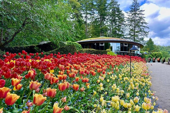 butchart-gardens-and-victoria-city-private-tour-victoria-bc photo 4