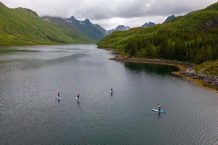 Lofoten Kayak and SUP Rental — Paddle Olderfjorden's Arctic Shoreline