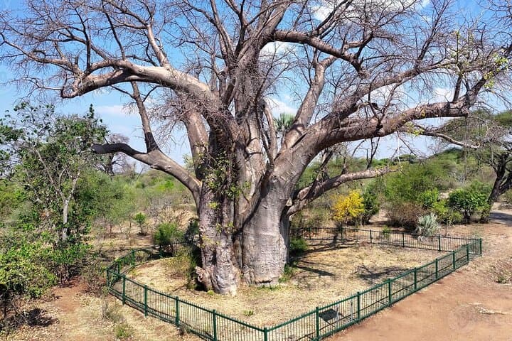 Victoria Falls Guided Tour — Discover Mosi-oa-Tunya (The Smoke That Thunders) photo 4