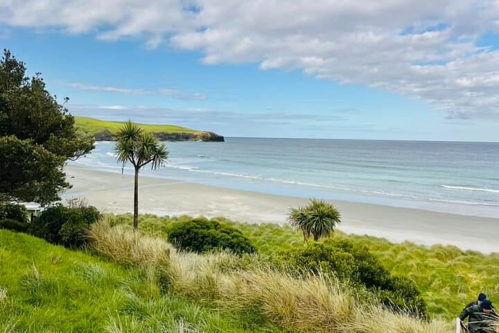 Wildlife Watching on Otago Peninsula: Clearwater Small-Group Tour to Cape Saunders photo 5
