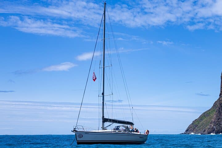 Madeira Half-Day Private Yacht to Cabo Girão — Swim, Snorkel & Coastal Views