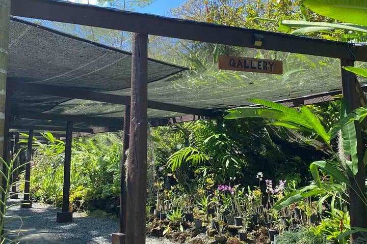 Half-Day Nadi Cultural & Nature Tour: Temple, Markets, Orchids & Mud Pools photo 2