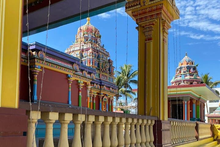 Half-Day Nadi Cultural & Nature Tour: Temple, Markets, Orchids & Mud Pools photo 4