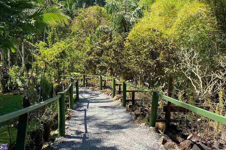 Half-Day Nadi Tour: Temple, Namaka Market, Garden of the Sleeping Giant & Sabeto Mud Pools photo 4