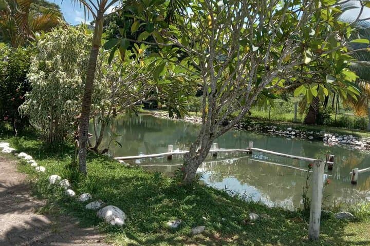 Half-Day Nadi Tour: Temple, Namaka Market, Garden of the Sleeping Giant & Sabeto Mud Pools photo 6
