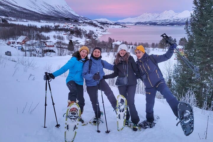Snowshoe the Lyngen Alps: Fjords, Sami Camp & Arctic Views