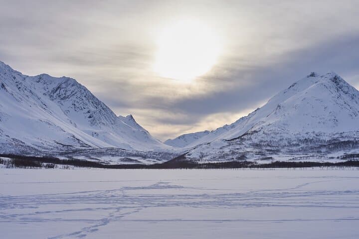 Snowshoe the Lyngen Alps: Fjords, Sami Camp & Arctic Views photo 6
