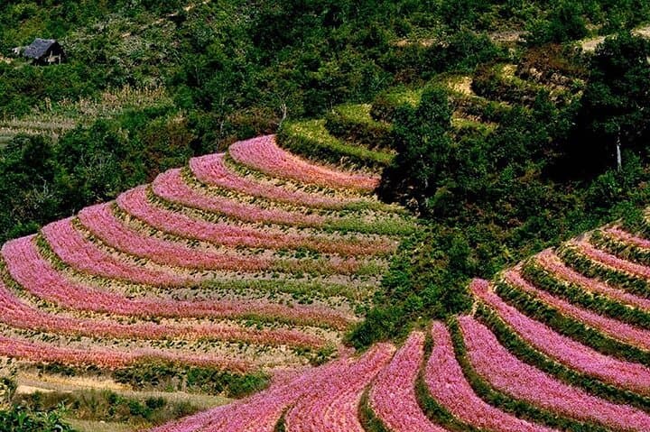 5-Day Cao Bang Shared Tour from Hanoi — Ban Gioc Waterfall, Ba Bể Lake & Hà Giang Highlands photo 4