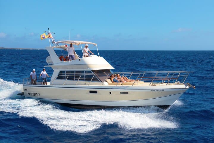Tenerife Yacht Whale Watching, Swim Stop and Onboard Lunch