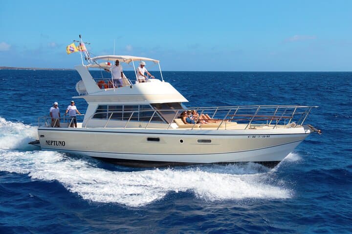 Tenerife Yacht Whale Watching, Swim Stop and Onboard Lunch photo 5