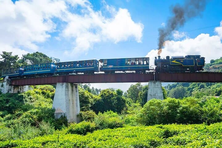 Nilgiri Toy Train and Ooty One‑Day UNESCO Sightseeing Tour photo 2