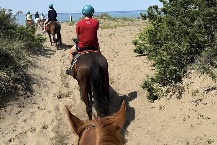 Horseback Riding the Tuscan Hills and Coast from Castagneto Carducci photo 2