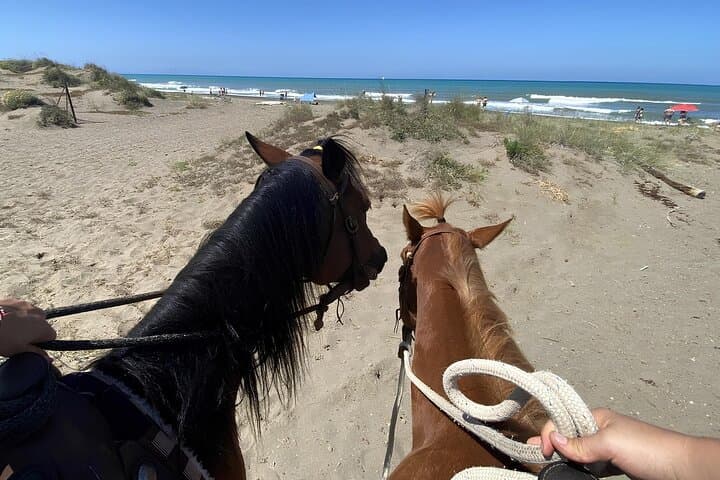 Horseback Riding the Tuscan Hills and Coast from Castagneto Carducci photo 3