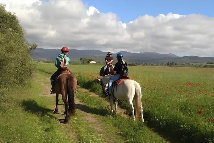 Horseback Riding the Tuscan Hills and Coast from Castagneto Carducci photo 4
