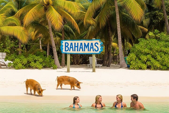 Bahamas Day Escape by Ferry from Fort Lauderdale — Bimini & Grand Bahama in a Day photo 6
