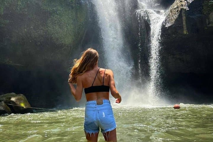 Ubud Full-Day Culture & Nature Tour: Monkey Forest, Tegalalang & Tirta Empul photo 3