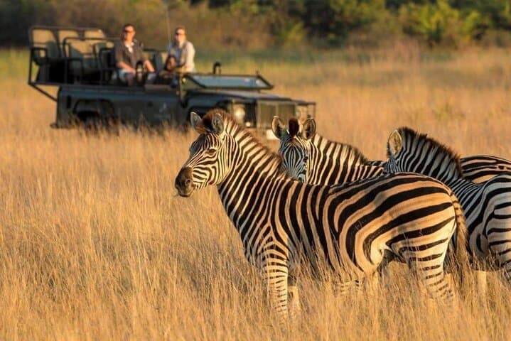 Hluhluwe & iSimangaliso 2-Day Safari from Durban — Big Five Game Drives & St Lucia Estuary Cruise photo 4