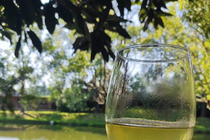 Green Wine Jeep Tour: 4x4 Vineyard Experience and Tasting in Northern Portugal photo 6