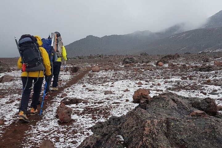 Chimborazo Volcano Tour from Quito: Hike to Cóndor Cocha (5100m) photo 4