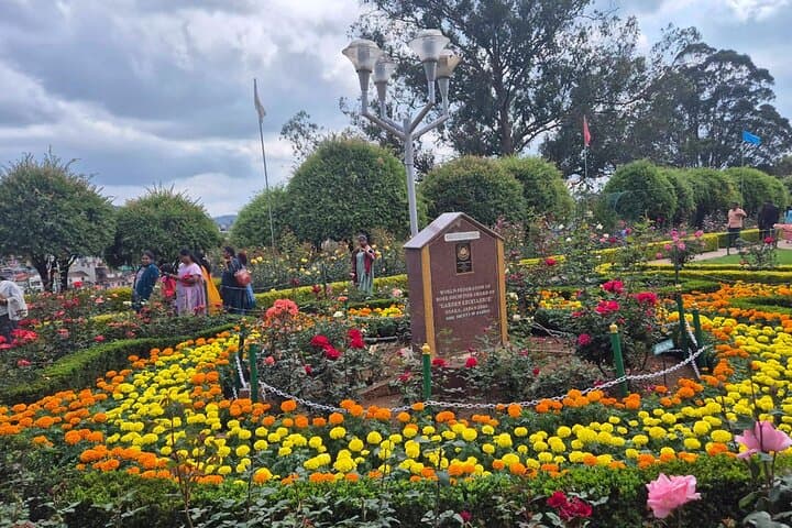 Coimbatore to Ooty Day Trip: Nilgiri Hill Station Highlights in One Day photo 6