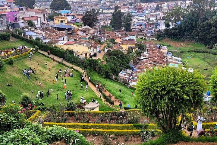 Coimbatore to Ooty Day Trip: Nilgiri Hill Station Highlights in One Day