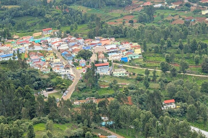 Coimbatore to Ooty Day Trip: Nilgiri Hill Station Highlights in One Day photo 5