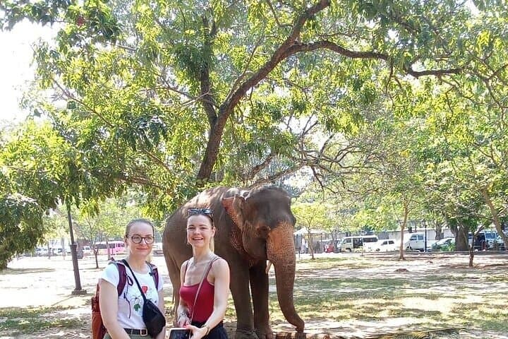 Colombo Tuk Tuk Private Tour: Pettah Markets, Temples & City Sights photo 3