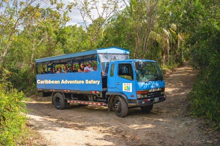 Experience the Heartbeat of the Dominican Republic: An Eco Safari Adventure