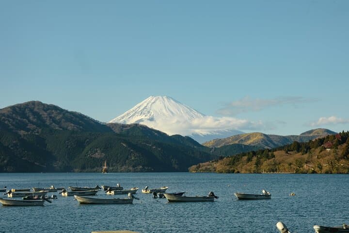 Full-Day Hakone Private Tour: Owakudani, Lake Ashi & Museums photo 2