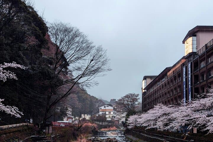 Full-Day Hakone Private Tour: Owakudani, Lake Ashi & Museums photo 4