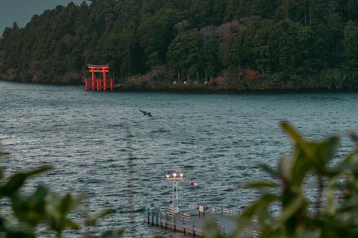 Full-Day Hakone Private Tour: Owakudani, Lake Ashi & Museums photo 6