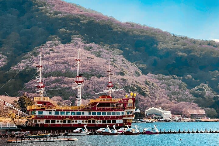 Full-Day Hakone Private Tour: Owakudani, Lake Ashi & Museums