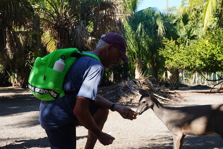 Reptile Eco Tour in Oaxaca's Coastal Communities: Ventanilla Lagoon & Playa Escobilla Turtle Release photo 6
