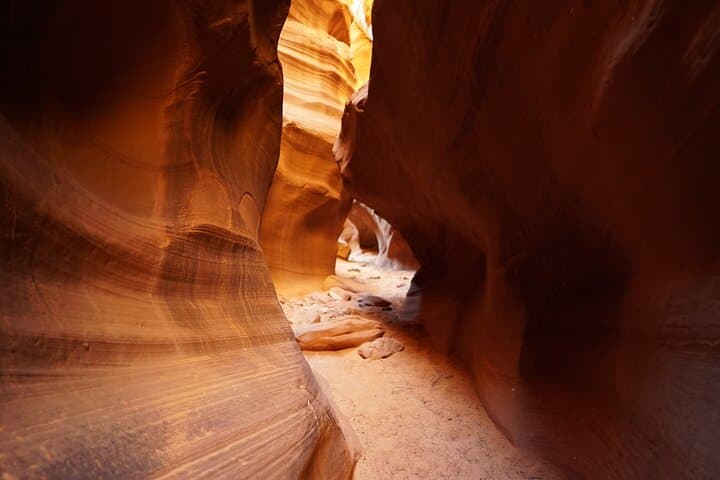 Three Canyon Photography Tour: Mountain Sheep, Rattlesnake & Owl Canyon Near Page AZ